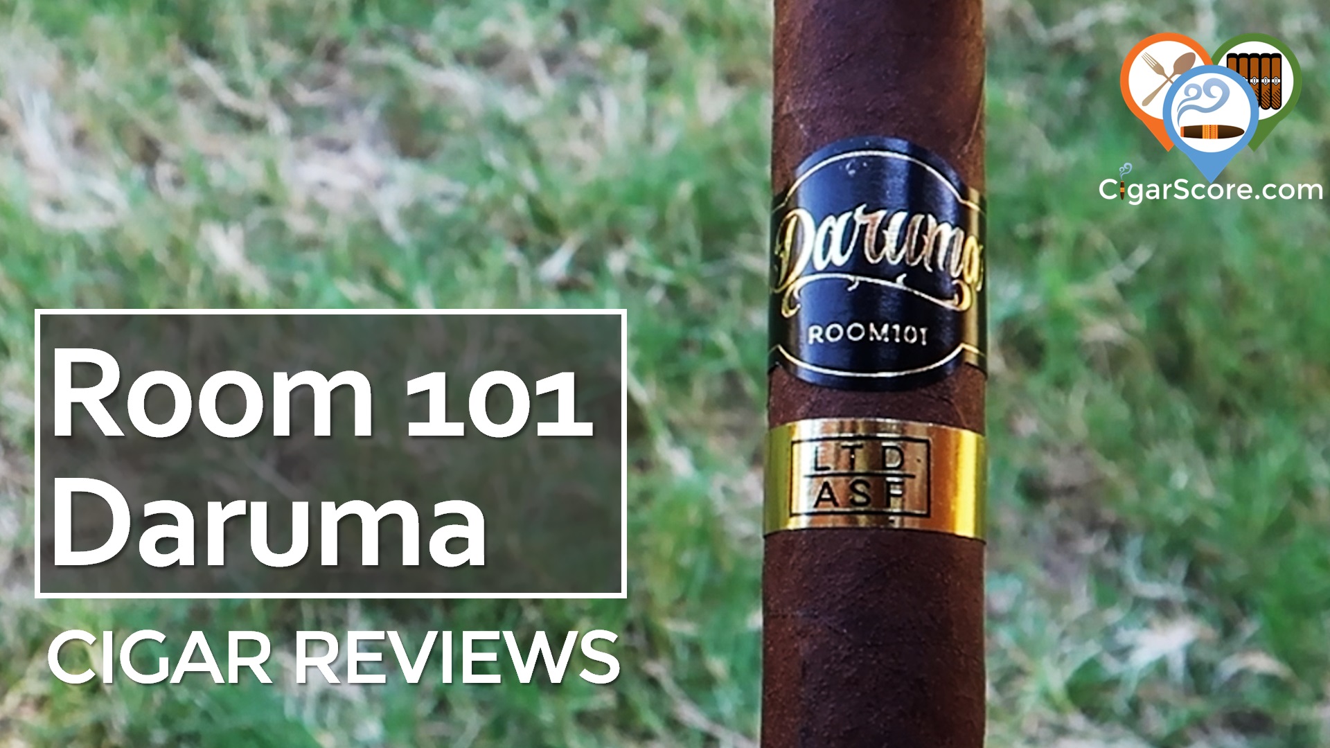 Cigar Review: Room 101 Daruma Toro